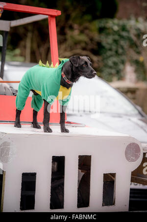 East Hoathly, nelle vicinanze del Lewes, East Sussex, Regno Unito. 26 dicembre, 2015. Gli abitanti di un villaggio di competere nel loro annuale Boxing Day Pram gara tra i pub in east hoathly nelle vicinanze del Lewes East Sussex. Un cane corre sul cofano di una delle carrozzine. Credito: Jim Holden/Alamy Live News Foto Stock