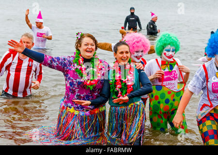 Prestwick, Ayrshire, Regno Unito. 26 dicembre, 2015. Centinaia di nuotatori braved temperature invernali e la pioggia per prendere parte alla decima edizione della "Boxing Day Dip" a sostegno dei bambini " la carità "Clic Sargent'. Questo anno il 'ip' è stata dedicata a Ross Granger, di anni 12, da Prestwick chi è nato con il cancro del rene ed è ora festeggia i dieci anni di remissione. Sua madre Eileen, ha dedicato la sua vita a sostenere Clicca Sargent e si è aggiudicato un MBE per il suo servizio alla carità. Credito: Findlay/Alamy Live News Foto Stock