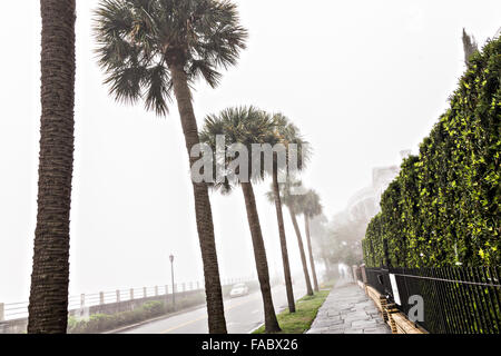 Charleston, Carolina del Sud, Stati Uniti d'America. Il 26 dicembre, 2015. La nebbia avvolge palazzi storici lungo la batteria come unseasonably caldo spazzato nella metà orientale degli Stati Uniti 26 dicembre 2015 Charleston, Sc. I più caldi rispetto alla temperatura normale in conflitto con l'oceano dello scambiatore di calore causando una fitta coltre di nebbia al di sopra della regione. Credito: Planetpix/Alamy Live News Foto Stock