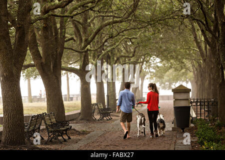 Charleston, Carolina del Sud, Stati Uniti d'America. Il 26 dicembre, 2015. Un paio di cani passeggiate lungo Waterfront Park è avvolta nella nebbia fitta come unseasonably caldo spazzato nella metà orientale degli Stati Uniti 26 dicembre 2015 Charleston, Sc. I più caldi rispetto alla temperatura normale in conflitto con l'oceano dello scambiatore di calore causando una fitta coltre di nebbia al di sopra della regione. Credito: Planetpix/Alamy Live News Foto Stock