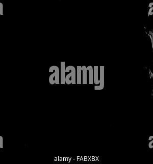 Questo è l'archivio fotografico incontaminato dell'Apollo 11, che documenta il primo atterraggio lunare riuscito nel 1969. Gli astronauti Neil Armstrong, Buzz Aldrin e Michael Collins hanno catturato momenti chiave, tra cui lo storico primo passo di Armstrong sulla Luna e l'impiego della bandiera americana. Foto Stock