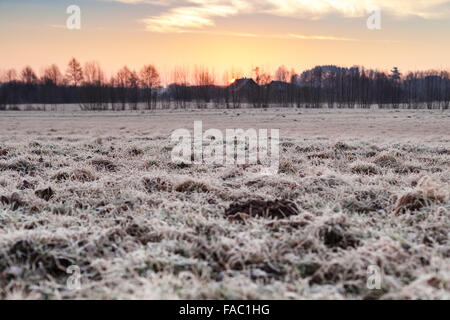 Sunrise caldo cielo sopra smerigliato campagna invernale terreni agricoli, la profondità di campo Foto Stock