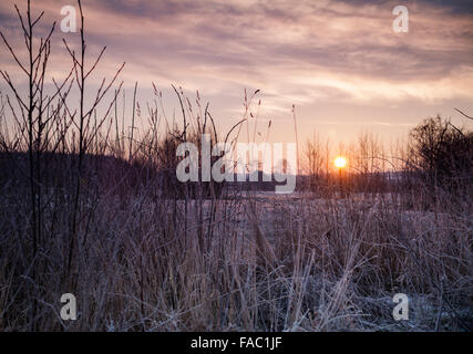 Sunrise magica luce su smerigliato campagna invernale scena Foto Stock