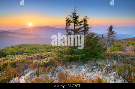 Monti Beskidy, tramonto al picco Pilsko, Polonia Foto Stock