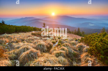 Monti Beskidy, tramonto al picco Pilsko, Polonia Foto Stock