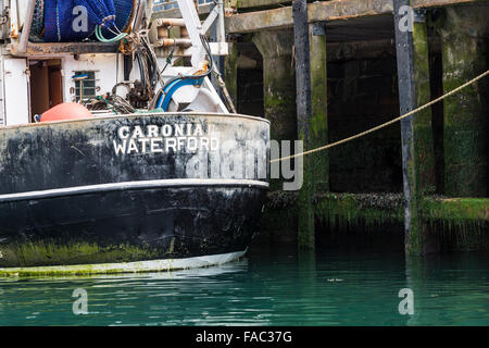 La pesca in barca in porto Foto Stock