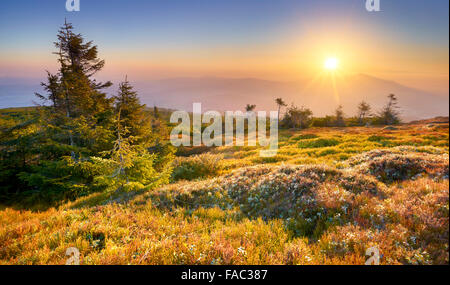 Monti Beskidy, tramonto al picco Pilsko, Polonia Foto Stock