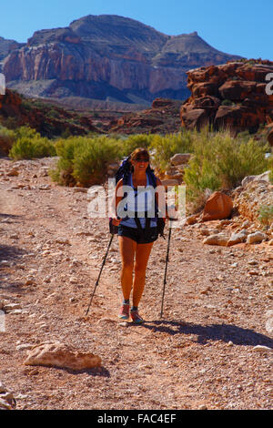 Escursionismo a Havasu Falls, Havasupai Indian Reservation, Grand Canyon, Arizona. Foto Stock