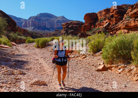 Escursionismo a Havasu Falls, Havasupai Indian Reservation, Grand Canyon, Arizona. Foto Stock