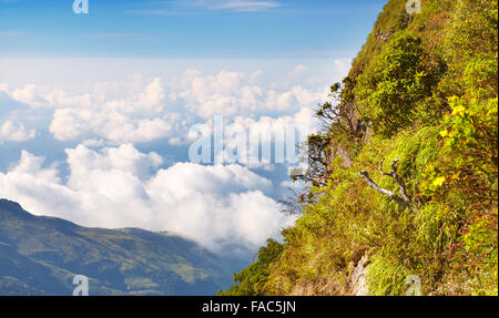 Sri Lanka - paesaggio, Horton pianura parco nazionale, vista da "Fine del Mondo" Foto Stock