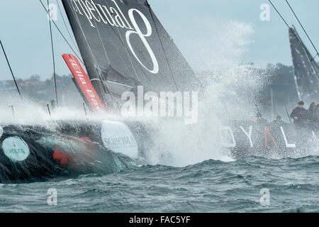 Sydney, Australia. Il 26 dicembre, 2015. Rolex Sydney Hobart Yacht Race 2015. Licenza perpetua proprietario fedele/skipper da Anthony campana del NSW tipo Juan-K 100. Include ex Australian cricket capitano Michael Clark e Wallaby Kurtly Beale durante l'inizio dell'629 miglio nautico gara da Sydney a Hobart sul Porto di Sydney. © Azione Sport Plus/Alamy Live News Foto Stock