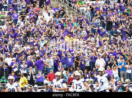 Dallas Texas, Stati Uniti d'America. Il 26 dicembre, 2015. Washington Huskies ventole allegria dopo un touchdown durante il 2015 Zaxby il cuore di Dallas Bowl gioco tra il Southern Miss aquile reali e il Washington Huskies al Cotton Bowl di Dallas Texas.Huskies win 44-31. Credito: Cal Sport Media/Alamy Live News Foto Stock