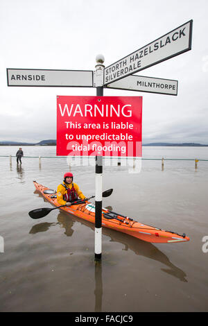 Kayakers nelle acque di esondazione su strada a Storth sul Kent Estuary in Cumbria, Regno Unito, durante il mese di gennaio 2014 mareggiata e h Foto Stock