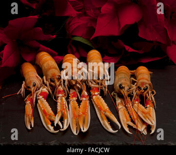 Scampi per pranzo. Sei cuocere gli scampi sit pronti per essere serviti per pranzo. Essi sono complementate da un buio superficie di ardesia. Foto Stock