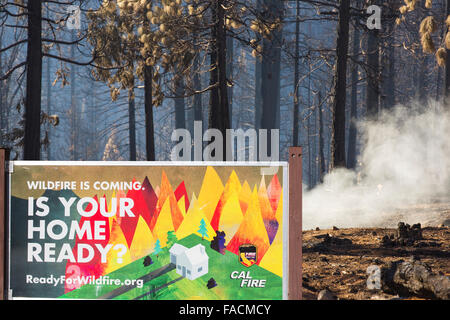 Il re il fuoco che bruciò 97,717 acri di El Dorado National Forest in California, Stati Uniti d'America. A seguito di un inedito e quattro anni di siccità e incendi sono molto più comuni. La maggior parte della California è in eccezionale siccità, il livello più alto di classificazione di siccità. 428,000 acri di terreni agricoli sono stati presi al di fuori della produzione dovuta alla mancanza di acqua e di migliaia di lavoratori agricoli hanno perso i loro posti di lavoro e un terzo di tutti i bambini in California vanno a letto affamate. Foto Stock