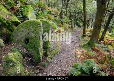 Antichi macine accanto al sentiero che conduce verso il basso dal bordo Froggatt nel Peak District, Derbyshire. Foto Stock