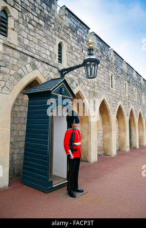 Una guardia in uniforme cerimoniale al di fuori della sua garitta nel reparto inferiore al Castello di Windsor, Berkshire, Inghilterra, Regno Unito Foto Stock