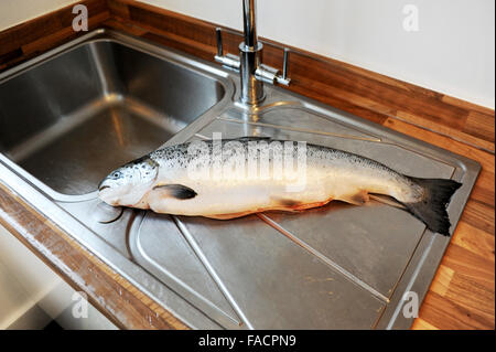 Salmone intero essendo preparato per la cottura al lavello da cucina Foto Stock