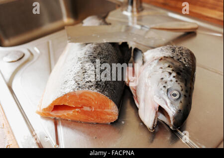 Salmone intero essendo preparato per la cottura al lavello da cucina Foto Stock