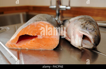 Salmone intero essendo preparato per la cottura al lavello da cucina Foto Stock