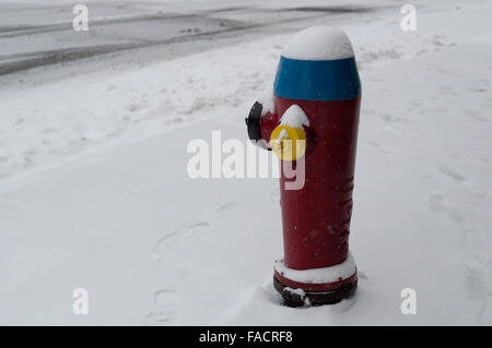 Colorate coperte di neve idrante, Quebec City, Quebec, Canada. Foto Stock