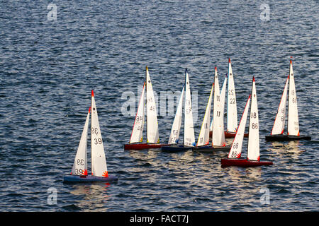 Yacht di controllo radio che naviga su un lago di Boating modello. L'International One Meter (IOM) regata popolare RC Racing yachts, 2-function control e 3 one-​design RIGS. Con tre vele RIGS; radio Controlled Yachting, in competizione su Southport, Marine Lake, Merseyside, REGNO UNITO Foto Stock