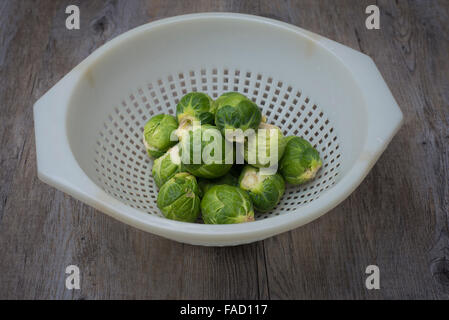 I cavoletti di Bruxelles in un colapasta per il lavaggio Foto Stock