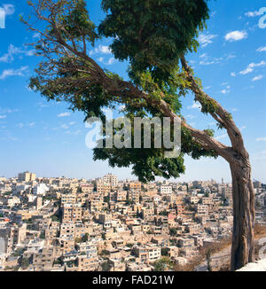 Visualizzare ad Amman in Giordania. Visto dalla cittadella Foto Stock