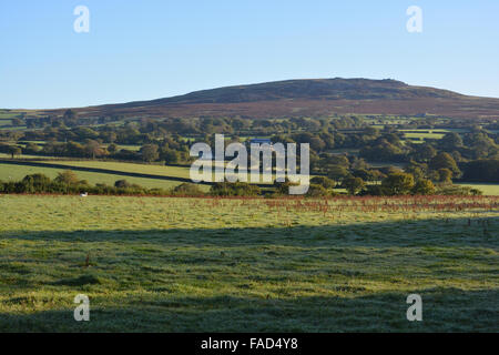 Vista di Cox Tor nel Parco Nazionale di Dartmoor attraverso campi di fattoria vicino a Tavistock. Devon, Inghilterra Foto Stock