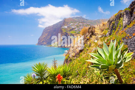 Vista a Cabo Girao (580 m più alto) cliff - Camara de Lobos, Isola di Madeira, Portogallo Foto Stock