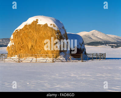 fienate sotto la montagna nera lungo il divario continentale vicino avon, montana Foto Stock