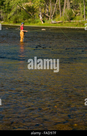 Pesca a Mosca il foro grande fiume, dividere Bridge Area ricreativa, Butte Field Office Bureau of Land Management, Montana Foto Stock