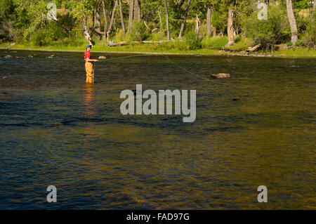 Pesca a Mosca il foro grande fiume, dividere Bridge Area ricreativa, Butte Field Office Bureau of Land Management, Montana Foto Stock