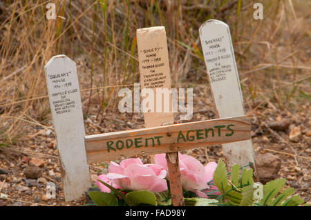 Simulazione di grave al Boot Hill Cimitero, Virginia City National Historic landmark District, Montana Foto Stock