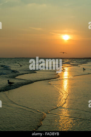 Tramonto a Brighton e Hove beach a bassa marea con nessun popolo, Sussex, Regno Unito Foto Stock