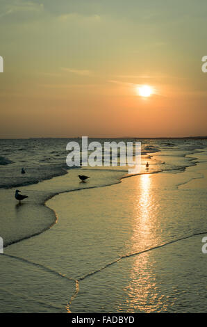 Tramonto a Brighton e Hove beach a bassa marea con nessun popolo, Sussex, Regno Unito Foto Stock