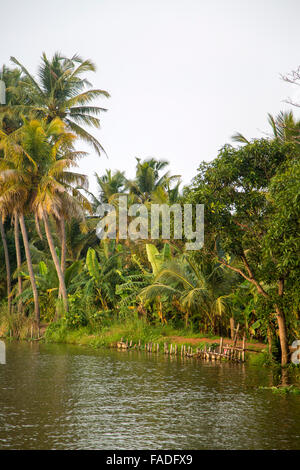 Backwaters nel Kerala, India. Le lagune sono una rete estesa di 41 ovest ad incastro che scorre fiumi, laghi e canali th Foto Stock