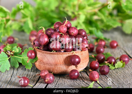 Ribes rosso nella ciotola di legno sul paese tabella Foto Stock