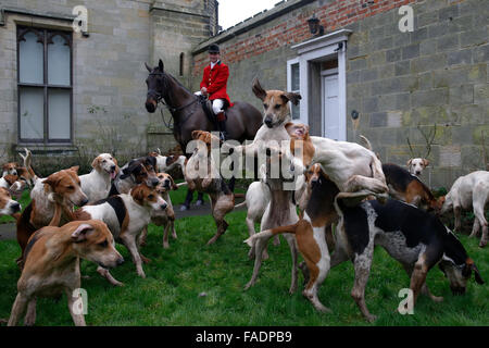 I segugi salto per biscotti come membri della vecchia Burstow Surrey e West Kent Hunt si riuniranno presso Chiddingstone Castle per la annu Foto Stock