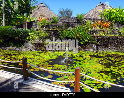 I pesci ornamentali stagno di Jardins de Pa'OFA'i (giardino di Paofai) in Papeete Polinesia Francese. Foto Stock