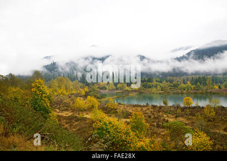 La nebbia e la nebbia appendere sopra le Cascade Mountains di Oregon centrale vicino alla cittadina di Oakridge, durante l'autunno del cambiamento di colore. Foto Stock