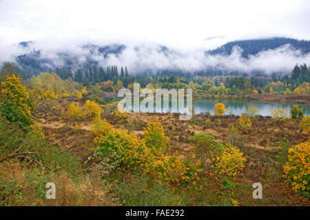 La nebbia e la nebbia appendere sopra le Cascade Mountains di Oregon centrale vicino alla cittadina di Oakridge, durante l'autunno del cambiamento di colore. Foto Stock