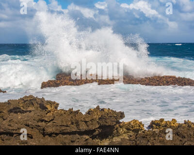 POINTE DES CHATAUX, Grand Terre Guadalupa - dicembre 2012. Foto Stock