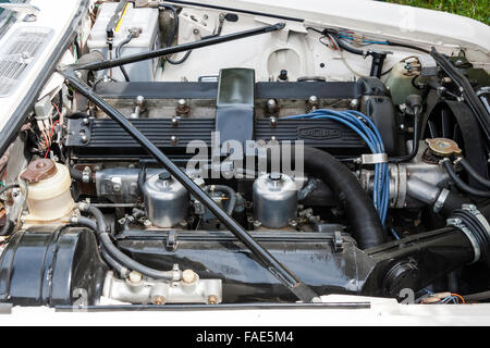 British Classic Car, Jaguar XJ 4.2c. Cappa, cofano aperto visualizzazione pulire nero e argento motore con i cavi blu, e 'Jaguar' logo sulla parte superiore. Foto Stock