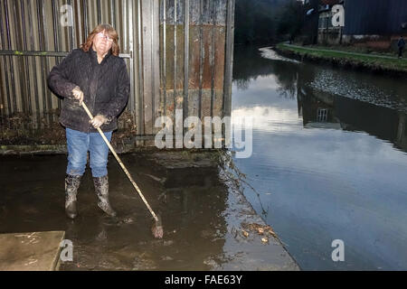 Elland bacino, Elland, West Yorkshire, Regno Unito. Il 28 dicembre, 2015. Cath Flynn aiuta a pulire il bankside locali che sono state inondate durante le recenti inondazioni, il canal, sulla destra è ora ritornato ad un livello normale dopo la salita oltre quattro piedi, con la marea chiaramente visibile in background. Mick Flynn/Alamy Live News Foto Stock