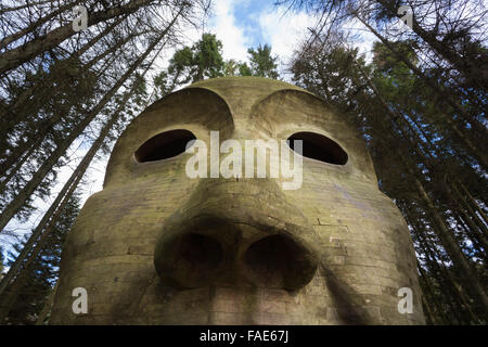 Silva capitalis, foresta testa scultura dettaglio parte di Kielder acqua e Forest Park art trail, Northumberland, Regno Unito Foto Stock