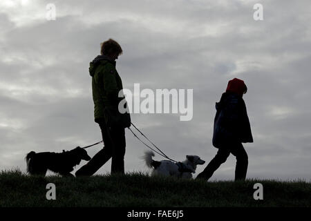 La madre e il figlio a piedi i loro cani Foto Stock