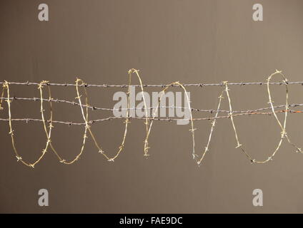 Barbwire isolato recinzione in argento e metallo d'oro su sfondo marrone Foto Stock