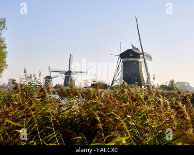 Mulini a vento olandese nel polder nei pressi dell'Aia, Paesi Bassi Foto Stock