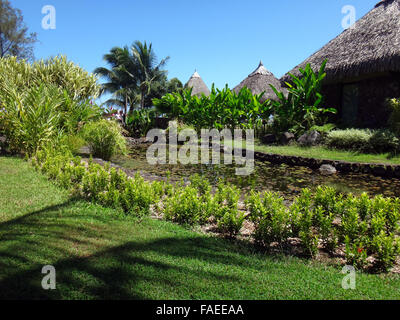 I pesci ornamentali stagno di Jardins de Pa'OFA'i (giardino di Paofai) in Papeete Polinesia Francese. Foto Stock